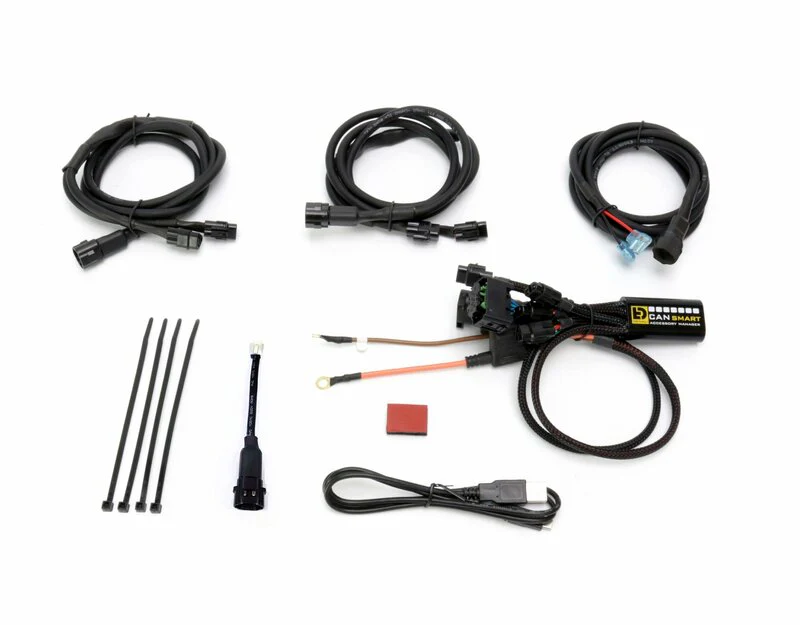 Denali Gen II CANsmart Plug-N-Play Controller BMW R1250/R1200 (LC)